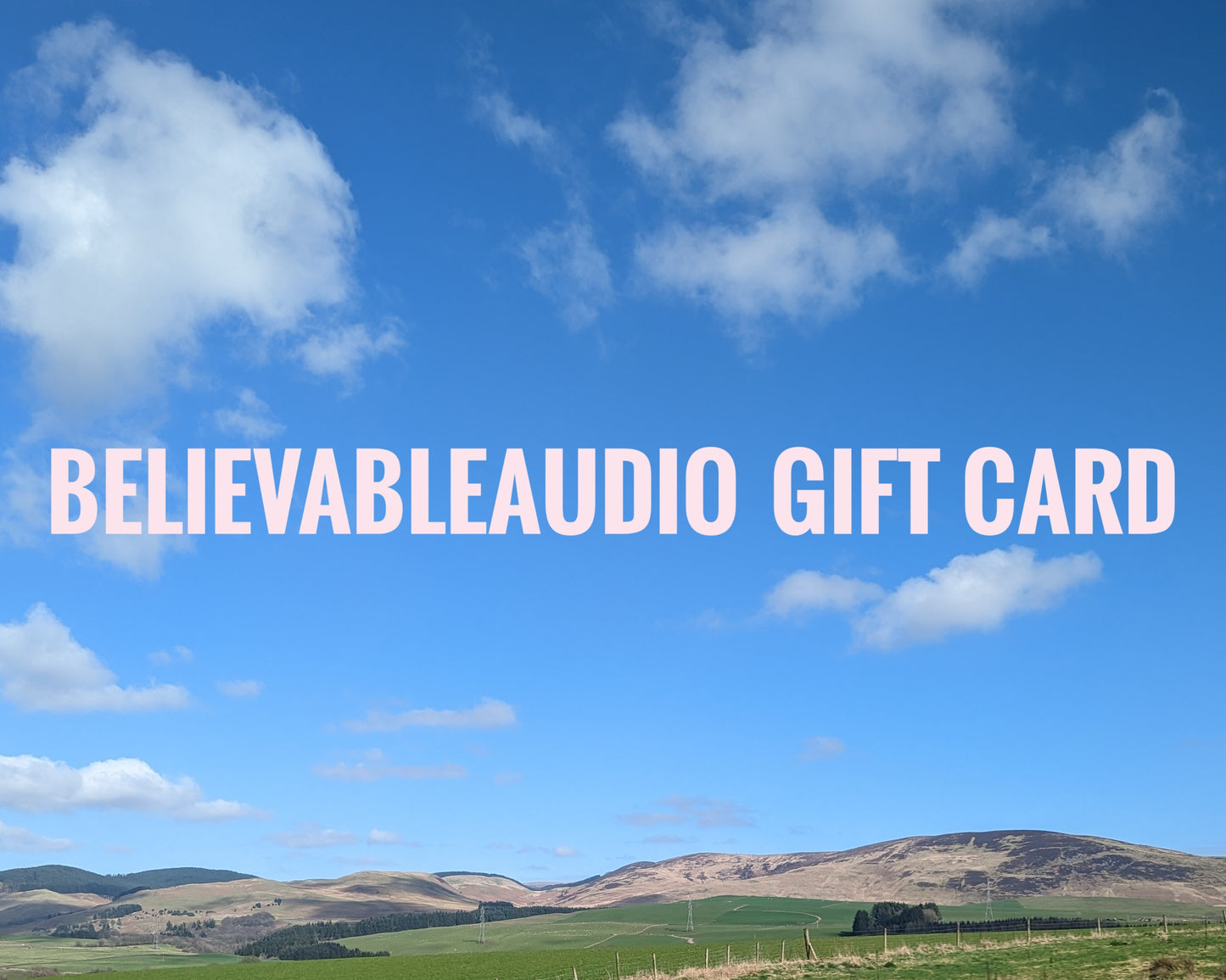 Believable Audio & 29 Pedals Gift Card